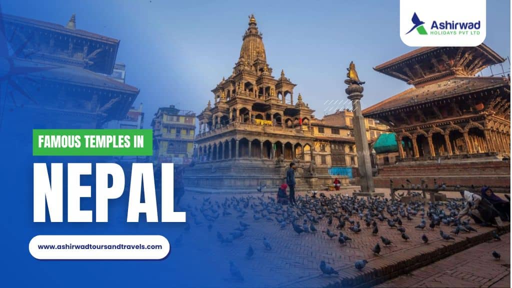 Beautiful view of a famous temple in Nepal surrounded by pigeons, showcasing cultural and architectural heritage.