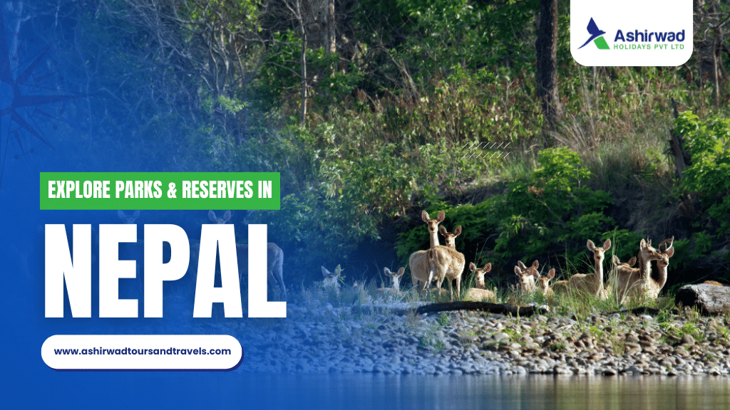 Deer by a river in Nepal, promoting park exploration.